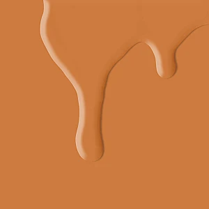 Pumpkin Pie